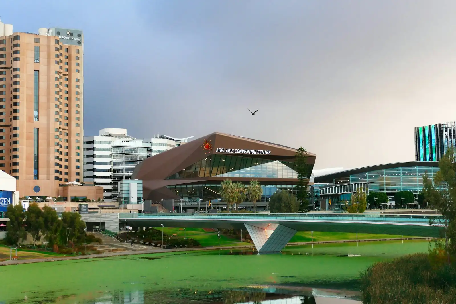 Adelaide Convention Centre beside the River Torrens