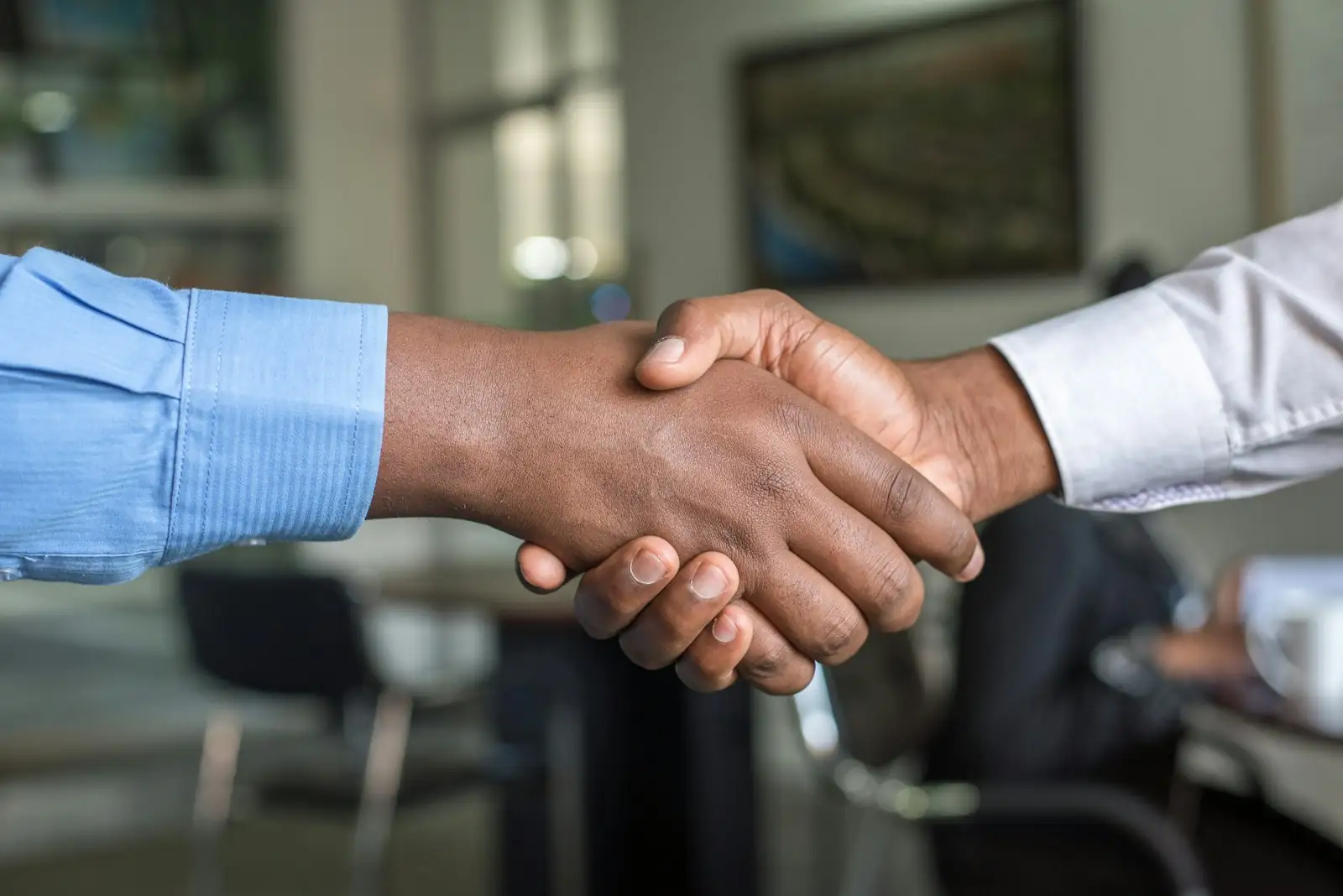 Two people shaking hands on a business deal